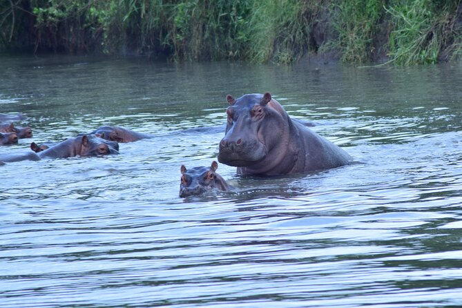 4 Days Tanzania Budget Group Join Safari- Serengeti & Ngorongoro - Explore Serengeti National Park