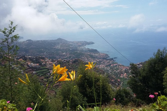 4x4 Safari Half Day Poncha, Mountains, Vineyards and Cabo Girão Small Group - Children Requirements