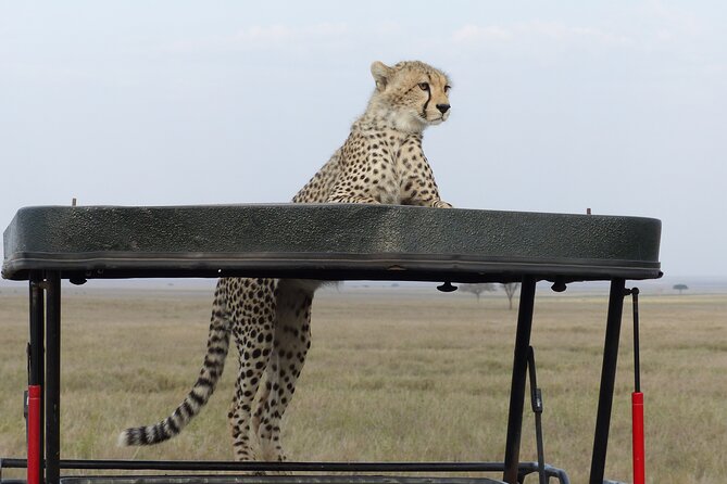 6 Days Private Budget Safari - Ngorongoro Crater