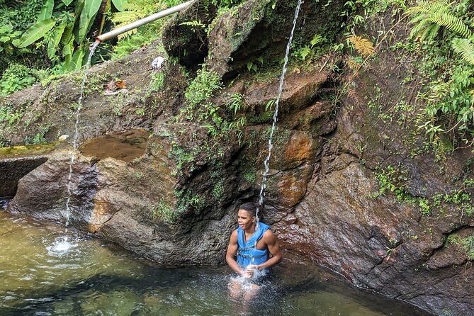 7 Hours Wildlife Discovery Tour in Dominica - Wildlife Explanations