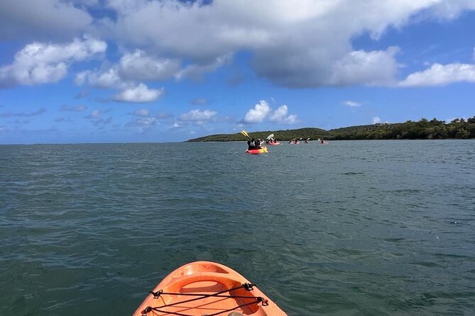 All Day Kayak Rental in Puerto Rico - Creating Your Itinerary