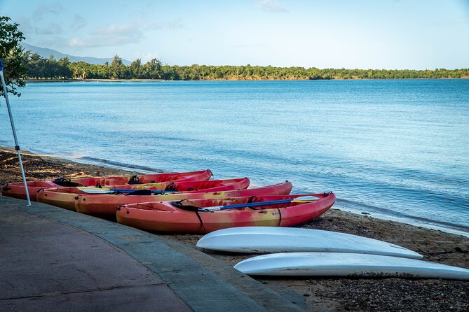 All Day PaddleBoard Rental - Weather and Conditions