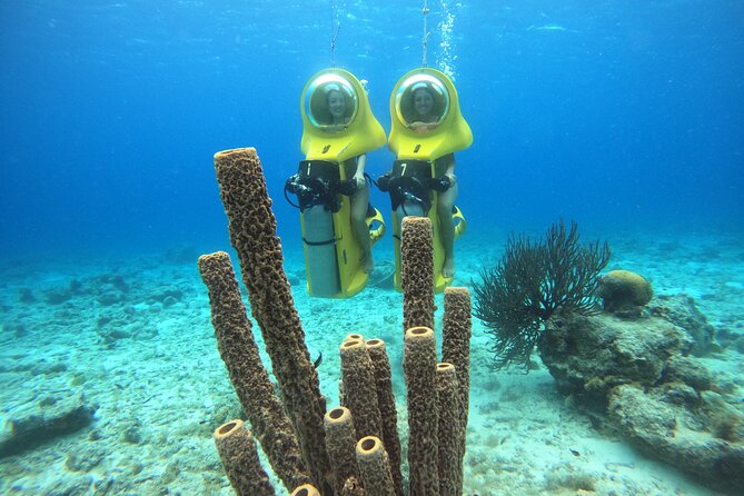 Aquafari Tour in Curacao - Breathtaking Underwater Sights