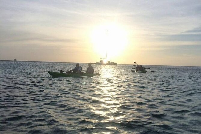 Aruba Glass Bottom Kayak Tour Through the Mangrove Forest - Physical Fitness Requirements