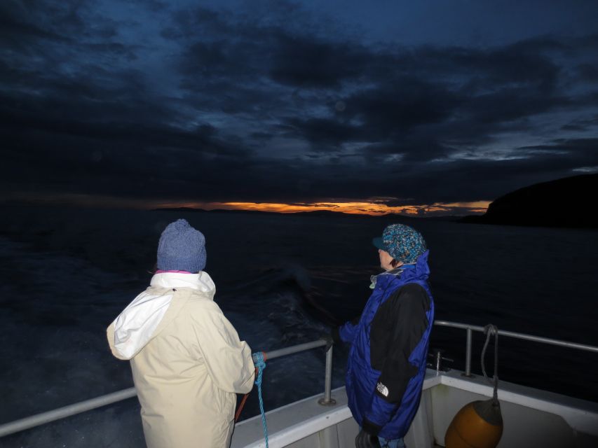 Baltimore Harbor: Sunset Cruise to Fastnet Rock Lighthouse - Participant Guidelines