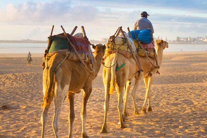 Best of Morocco Tour (15 Days) - Destinations