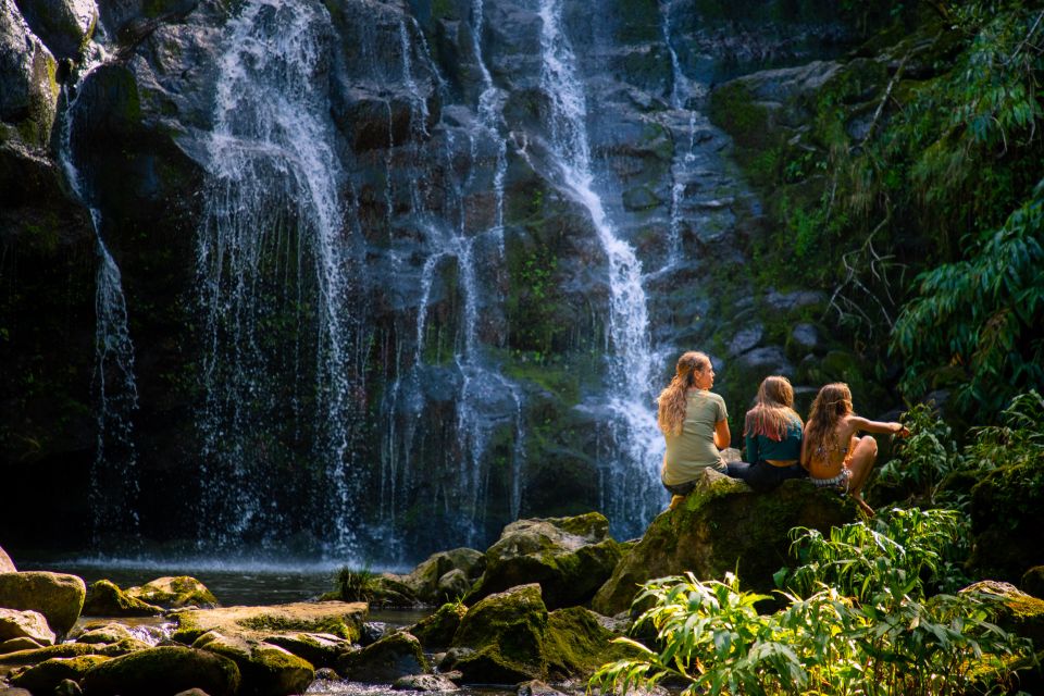 Big Island: Full Day Adventure Tour of the Kohala Waterfalls - Waterfall Swim