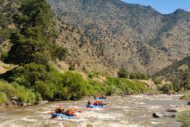 Bighorn Sheep Canyon Half Day Tour (Free Wetsuit Gear Use) - Bighorn Sheep Sightings