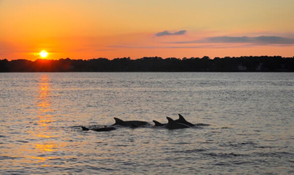 Brijuni Islands: Sunset & Dolphins Private Boat Tour - Customer Reviews