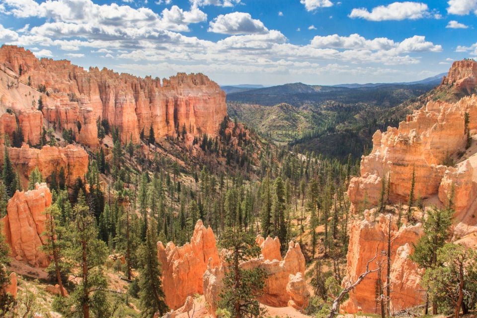 Bryce Canyon National Park: Self-Guided Driving Tour - Geological Formations and History