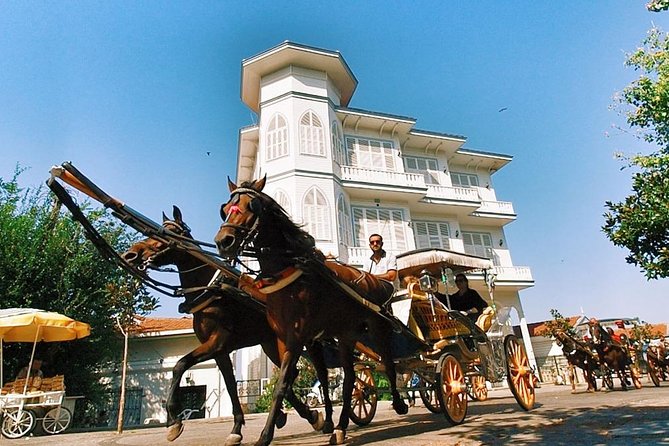 Buyukada Princes' Island Guided Day Tour With Lunch From Istanbul - Ottoman-Era Architecture