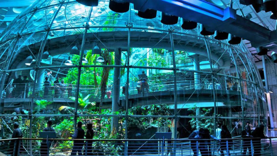 California Academy of Sciences Thursday NightLife Admission - Ticketing and Reservations