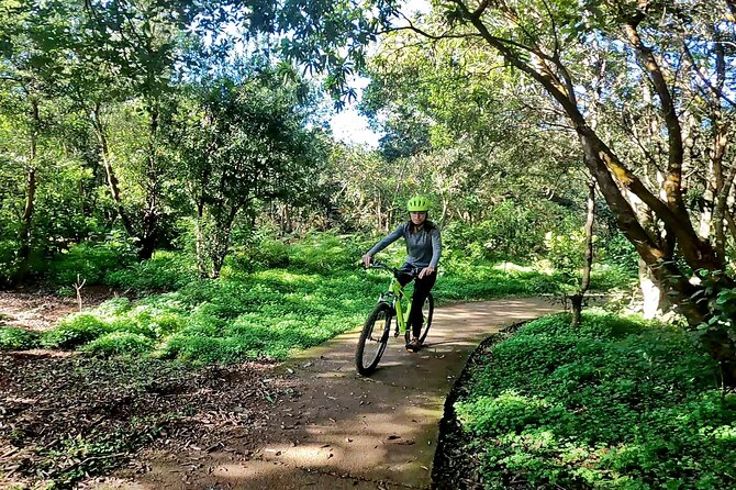 Descend in Mountain Bike in Northern Forests of Gran Canaria - What to Expect