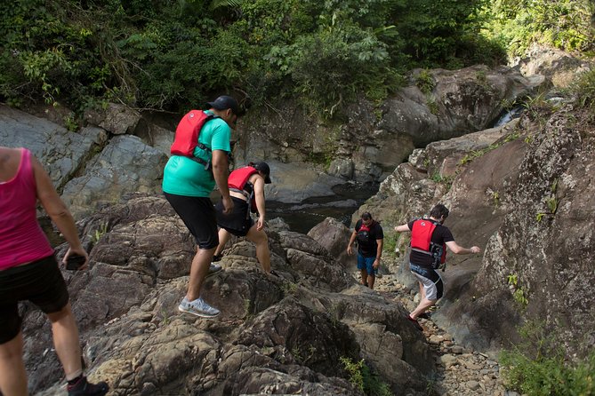 El Yunque Rainforest and Bio Bay Kayaking Combo Tour - Kayaking Experiences