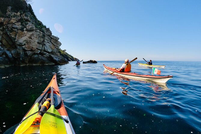 Elba Island Full Day Sea Kayak Tour - Group Size