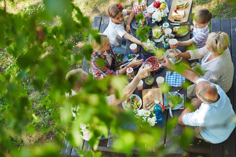 Enjoy Lunch With Pure Products From the Corfu Farm - Interaction With Nature