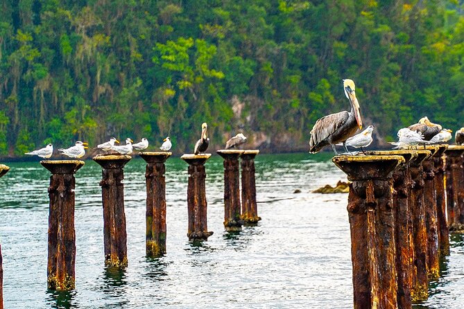 Excursion to Los Haitises + Cayo Levantado (Bacardi Island) From Santo Domingo - Booking and Cancellation Policy