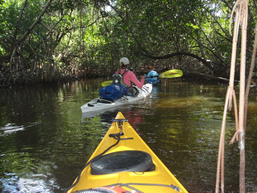 Florida Keys: Key West Kayak Eco Tour With Nature Guide - Customer Feedback