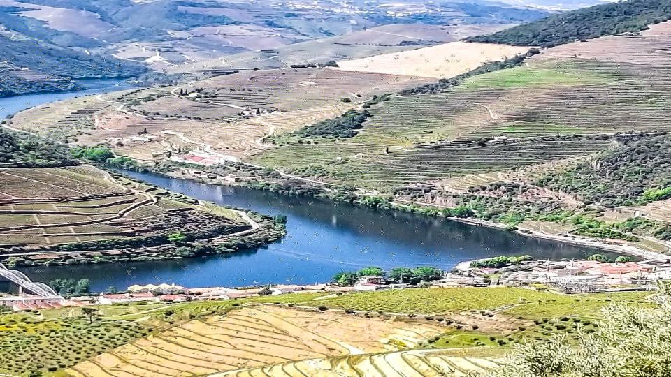 Foz Côa & Douro Private Tour: Rock Carvings and Superb Views - Vineyard and Winery Experiences