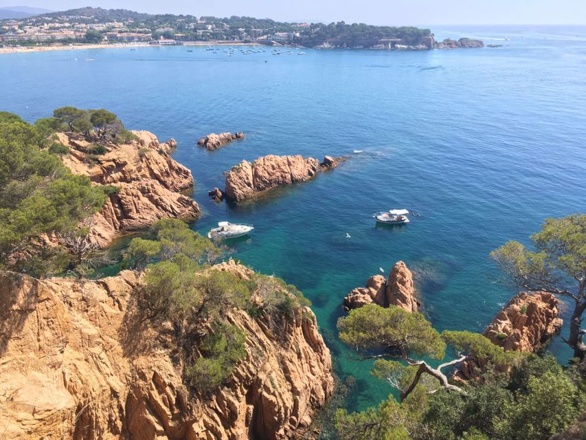 From Barcelona: Costa Brava Trekking and Kayaking Tour - Meeting Point and Important Information