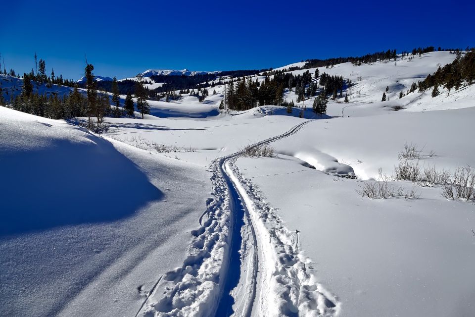 From Gardiner: Yellowstone National Park Snowshoe Tour - Included in the Tour