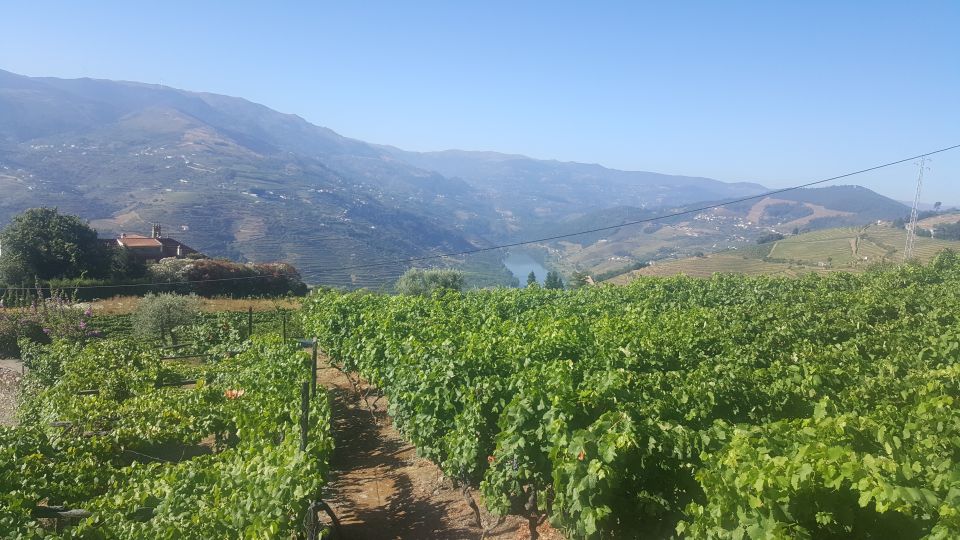 From Porto: Private Douro Valley Tour With Booking Service - Booking and Cancellation