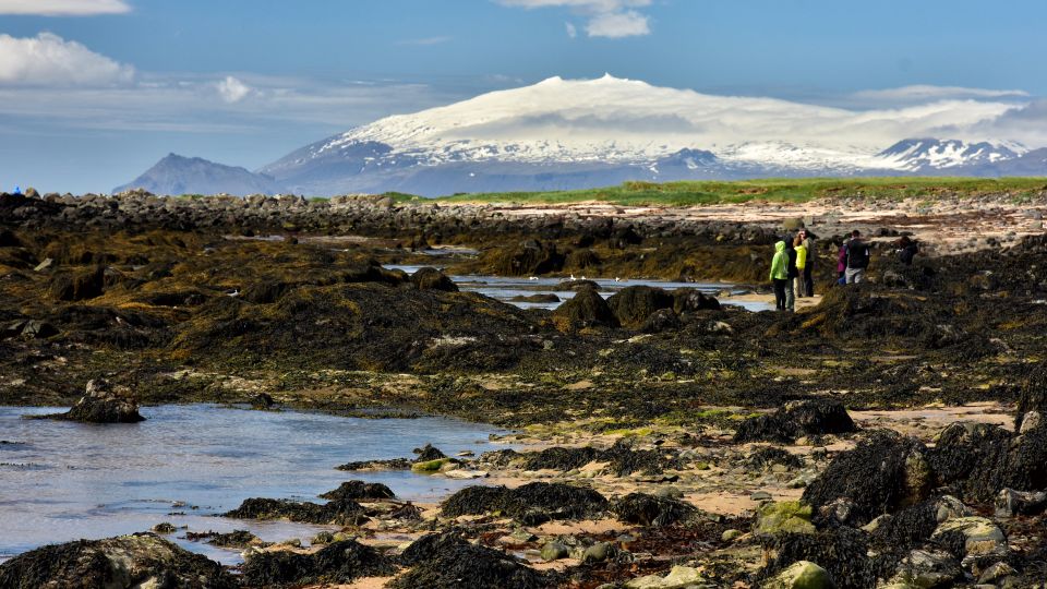 From Reykjavik: Snaefellsnes National Park - Small Group - Discovering Kirkjufell Mountain