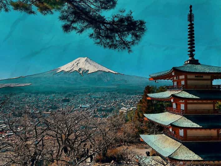 From Tokyo: Mt. Fuji And Hakone Private Sightseeing Day Trip - Pickup and Drop-off Locations