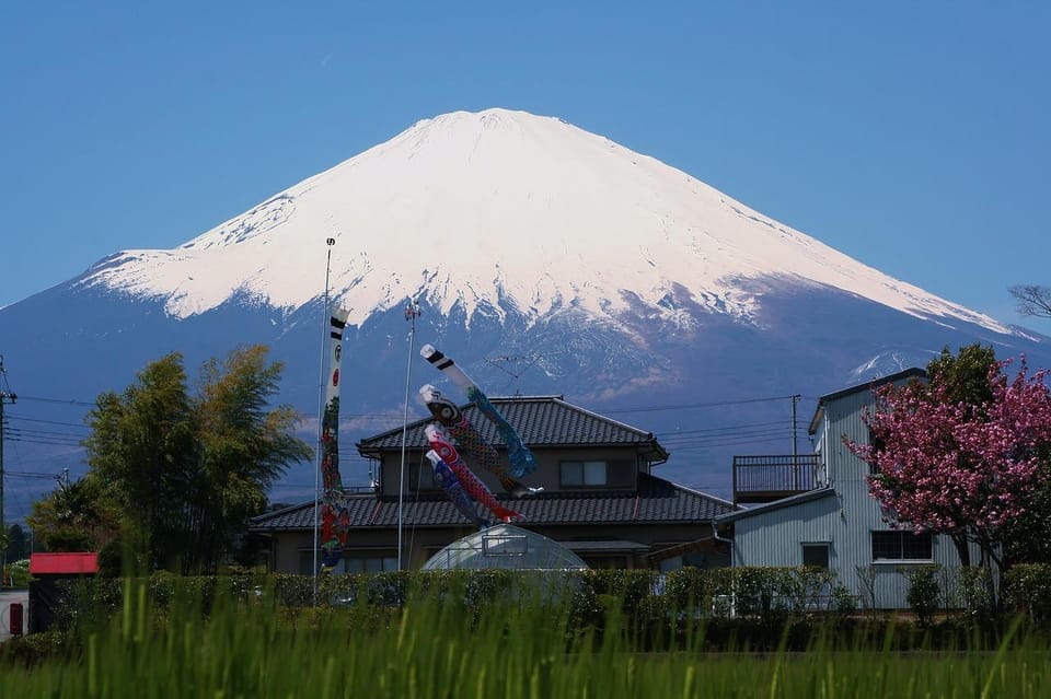 From Tokyo: Mt. Fuji or Hakone Private Sightseeing Day Trip - Booking Confirmation