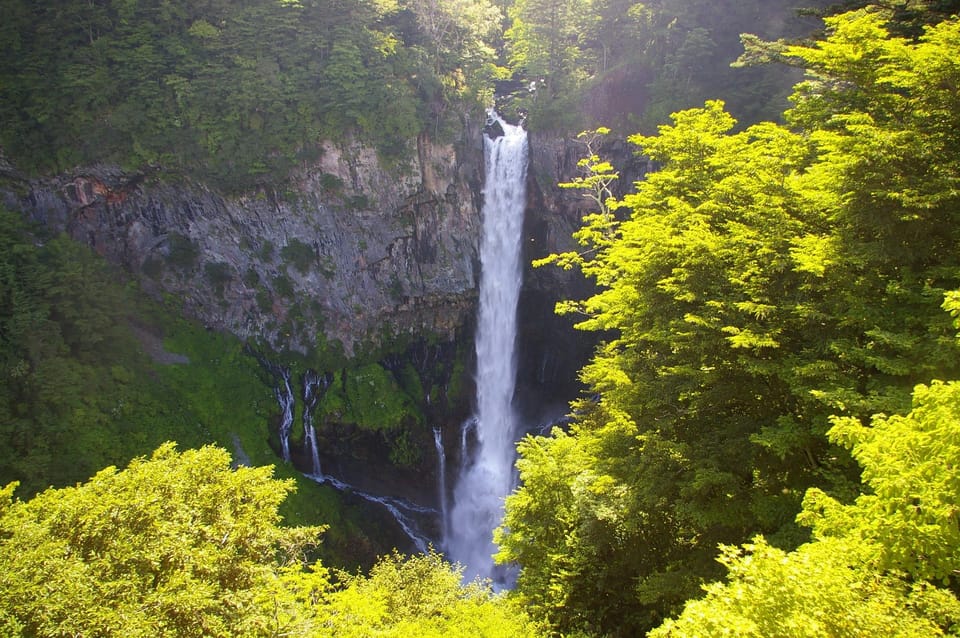 From Tokyo: Nikko Full-Day Private Sightseeing Day Trip - Customer Feedback