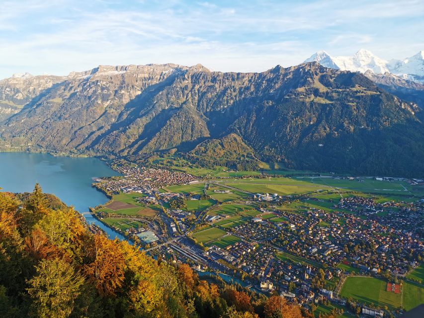 From Zurich: Day-Trip to Interlaken - Customer Reviews and Ratings