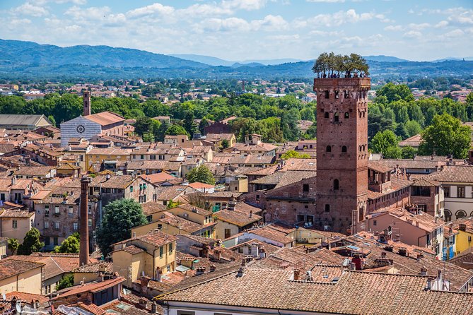 Full-Day Private Pisa and Lucca Tour From Florence - Inclusions and Amenities