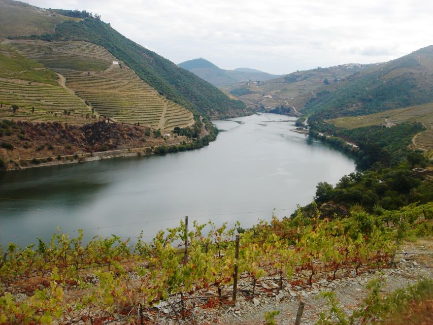 Full-Day Private Tour (Porto City + Douro Valley) - Pickup and Drop-off