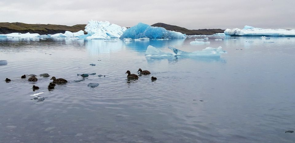 Glacier Lagoon and Diamond Beach Private Tour From Reykjavik - Diamond Beach Exploration