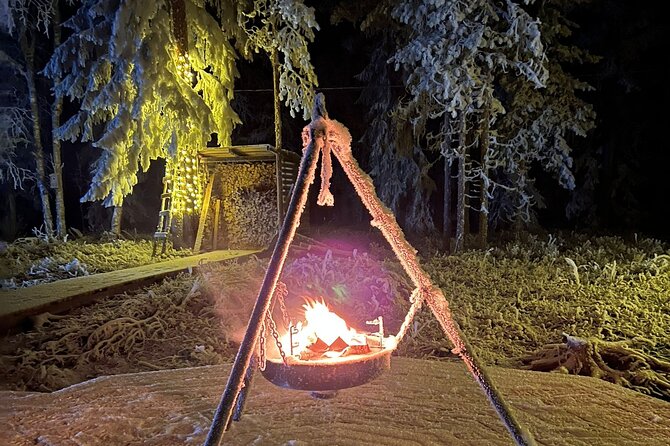 Glass Igloo Campfire Dinner Under Northern Lights - Preparing for the Activity