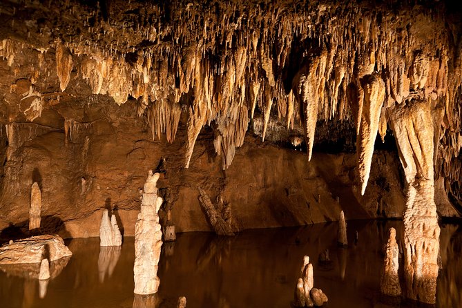 Green Grotto Caves Excursion From Ocho Rios - Explore the Green Grotto Caves