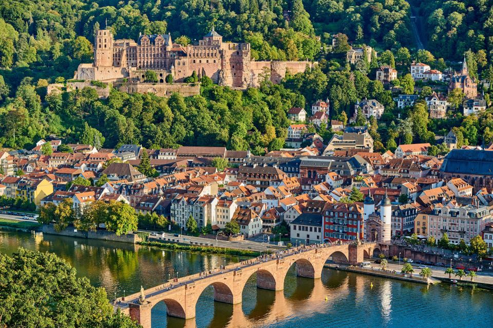 Heidelberg: Express Walk With a Local in 60 Minutes - Meeting at the Lion Fountain