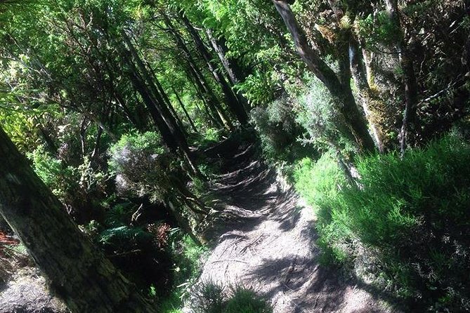 Hiking Trail Rocha Do Chambre | Terceira Island - Meeting Point and Transportation