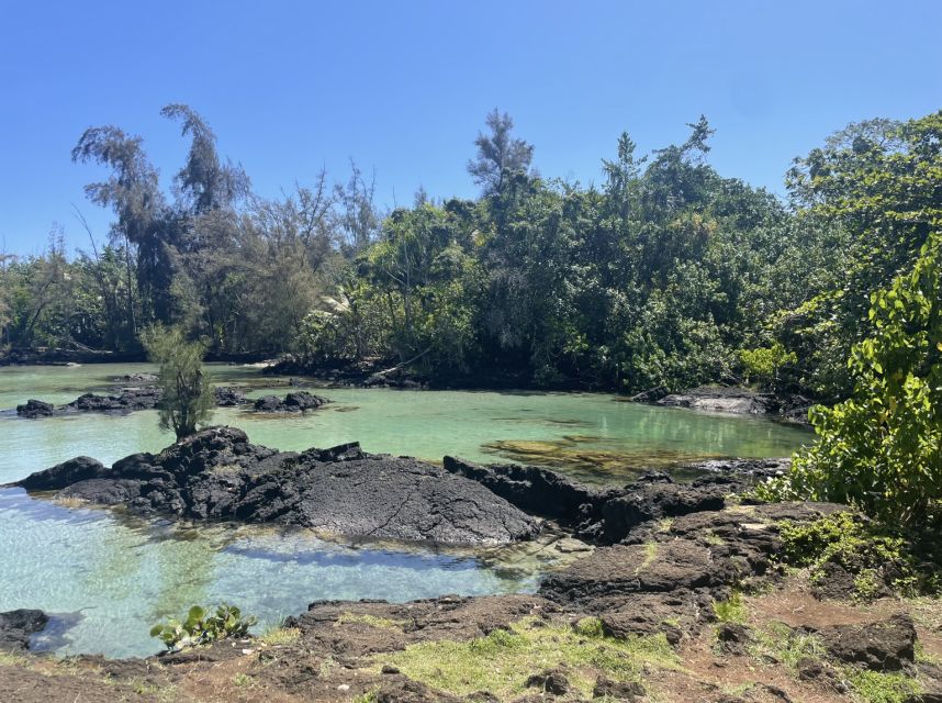 Hilo: Sea Turtle Lagoon and Black Sand Beach Snorkel - Preparing for the Tour