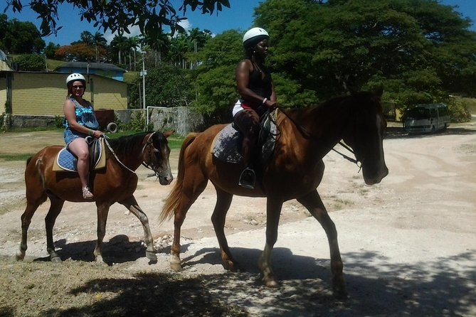 Horseback Riding Dunns River Falls Adventure From Montego Bay - Horseback Riding Experience