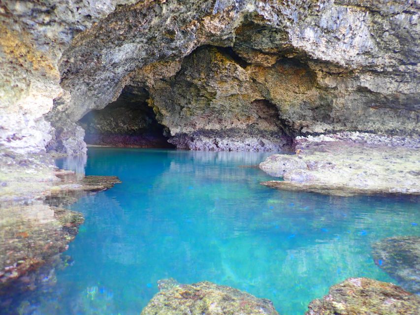 Ishigaki Island: SUP/Kayaking and Snorkeling at Blue Cave - Customer Reviews and Ratings