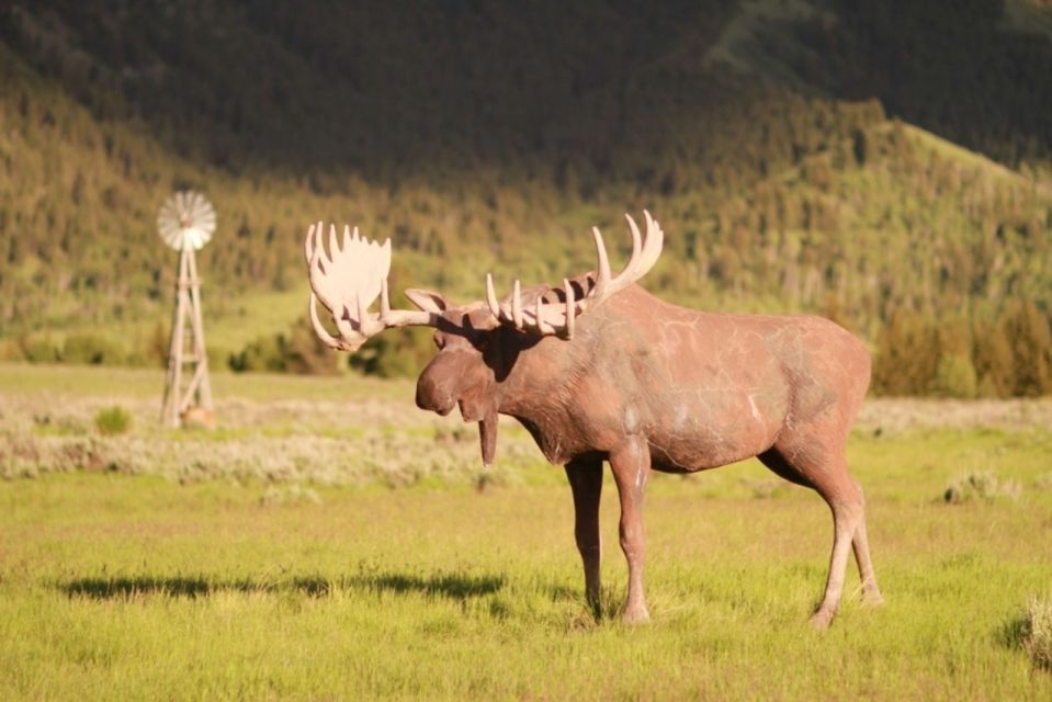 Jackson Hole: Moose Meadow Horseback Tour With Breakfast - Restrictions and Requirements