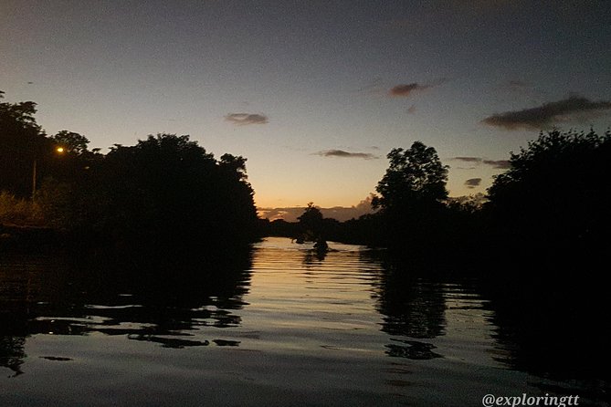 Kayak Adventure in the Second Largest Swamp of Trinidad and Tobago - Spotting the Scarlet Ibis