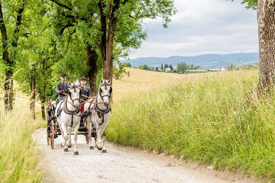 Köflach: Lipizzaner Stud Farm Visit - Cancellation Policy