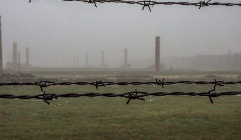 Krakow: Auschwitz-Birkenau Guided Tour & Holocaust Movie - Accessibility and Requirements