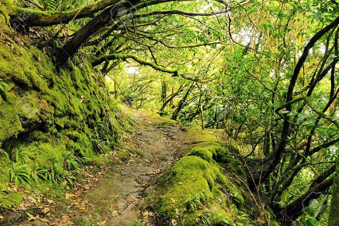 La Gomera Day Trip From Tenerife - Inclusions and Logistics