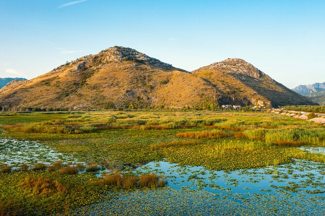 Lake Skadar: Guided Sightseeing Boat Tour With Refreshments - Explore Lake Skadars Wildlife