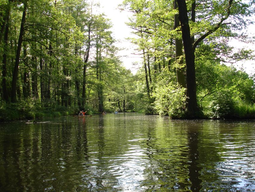 Leipzig: Riverside Forest Tour on the Pleisse - Peaceful Forest Climate