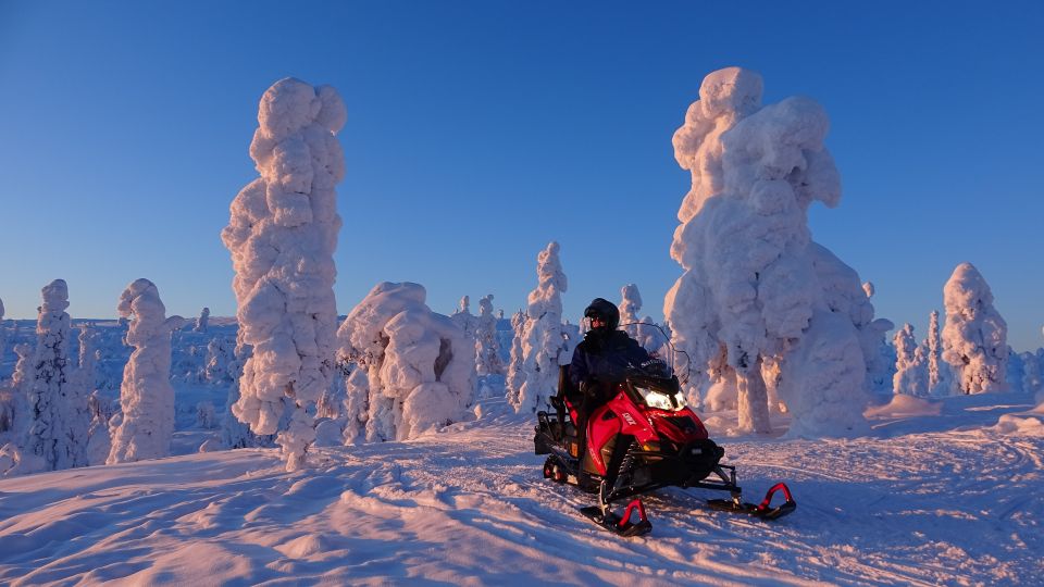 Levi: Evening Snowmobile Safari - Enjoying the Forest Campfire