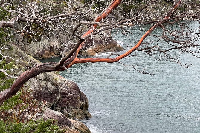 Lighthouse Park Hike - Getting There